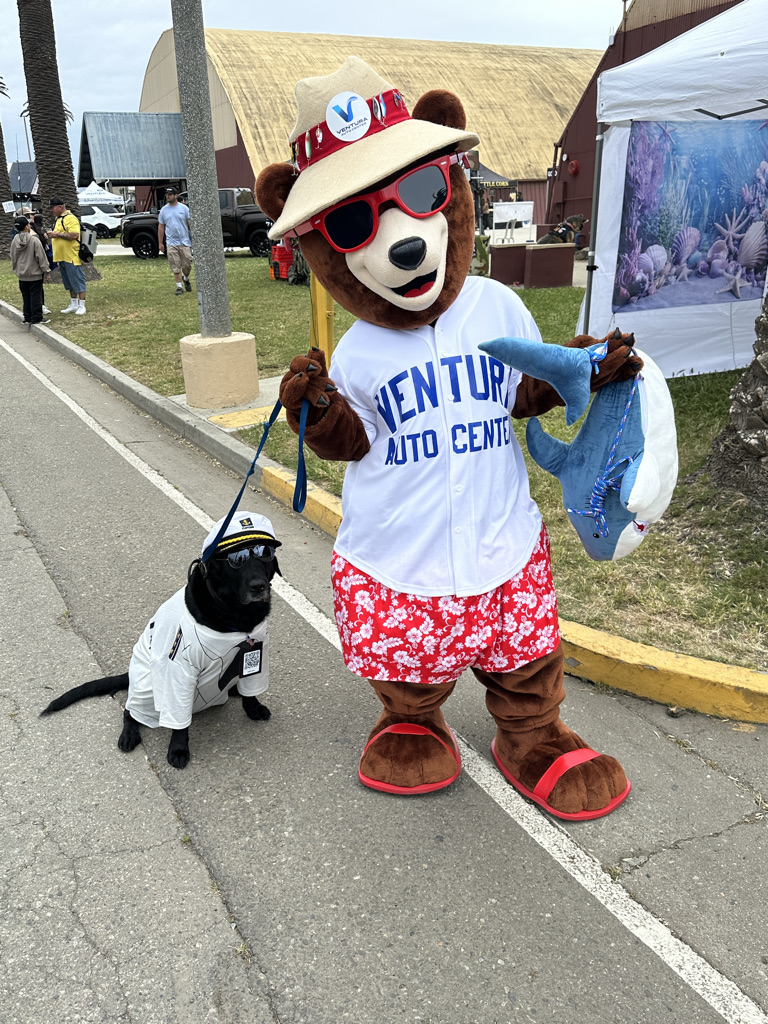 C3D60882-7292-4C3B-869E-93BB5CA76891_1_105_c