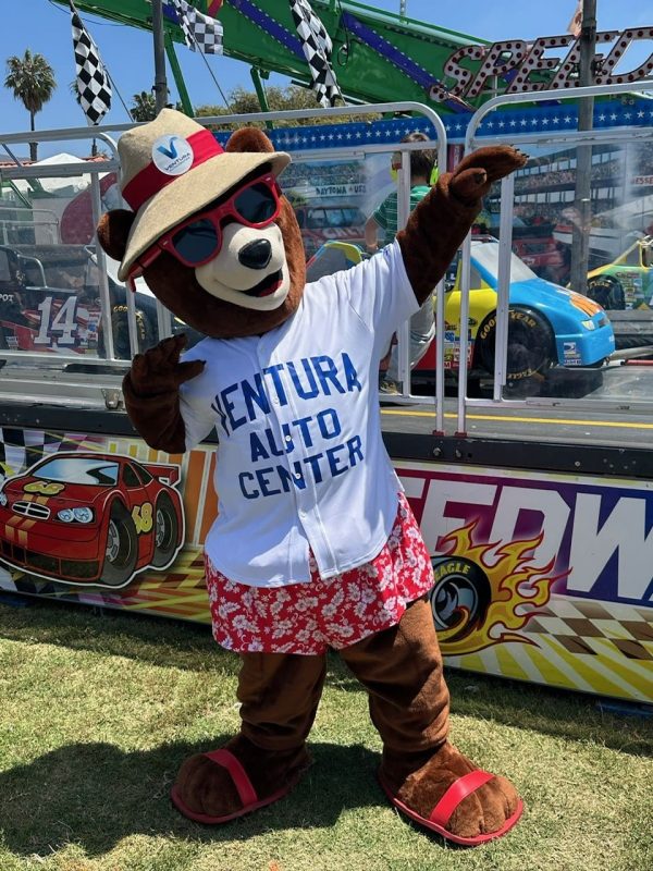 Bumper Fair Arrow Pose