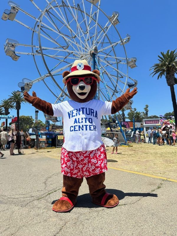 Bumper Fair Ferris Wheel 2