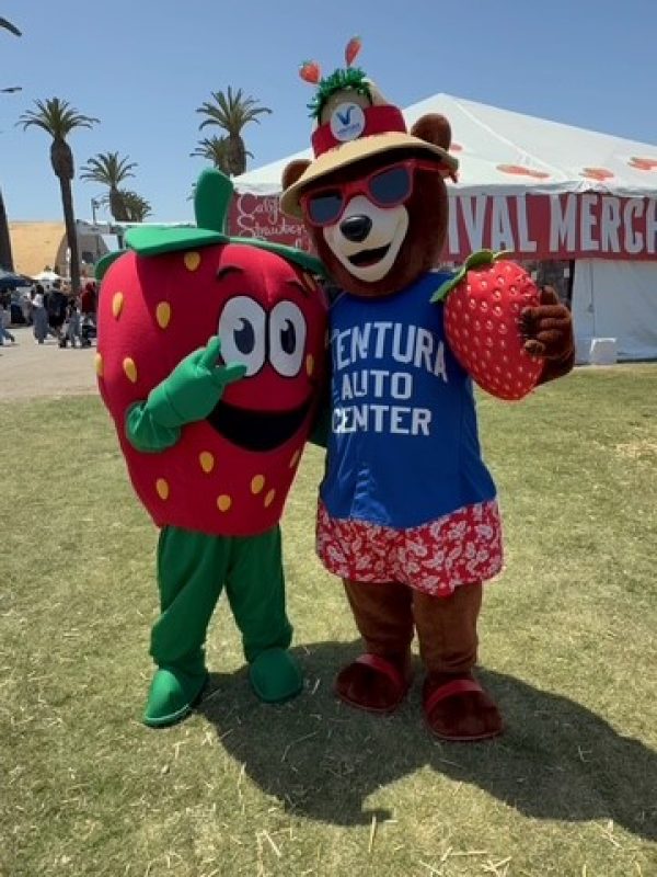 Bumper Strawberry Fest 26 1