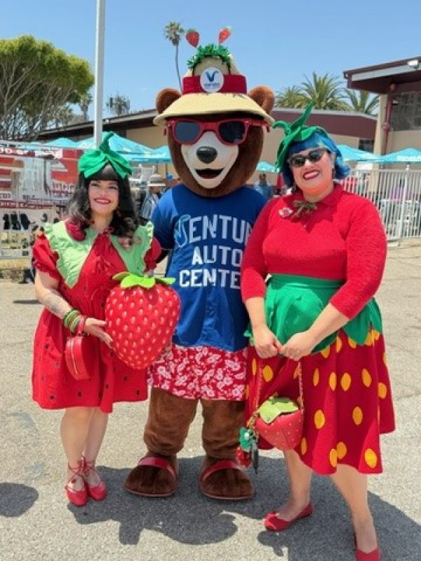Bumper Strawberry Fest 26 2